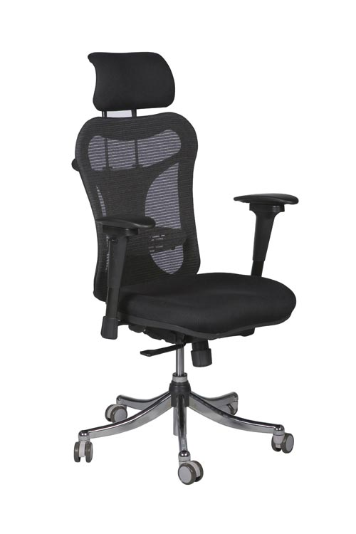 Ergo Ex Mesh Back Chair by Balt