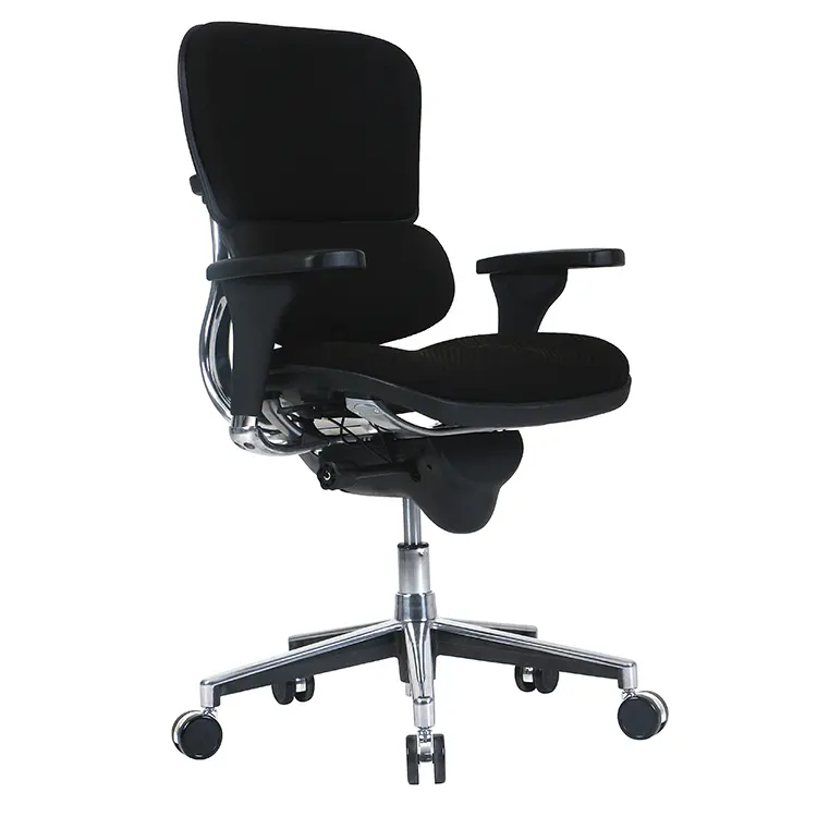 Low Back Ergohuman Chair by Eurotech in Black