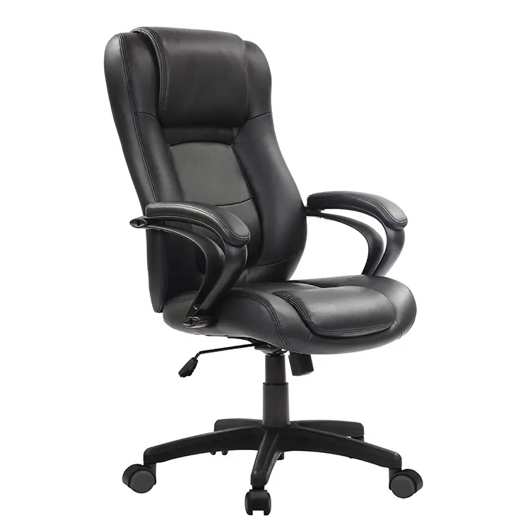 Executive Leather Chair with Padded Armrests by Eurotech