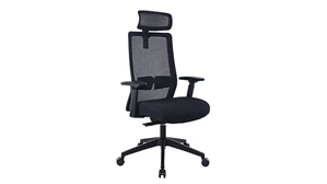 Ergonomic Task Chairs WFB Designs Mesh Back Task Chair with Headrest