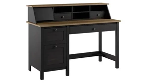 Stand-Alone Single Pedestal Desks Bush Furnishings 54in W Computer Desk with Drawers and Desktop Organizer