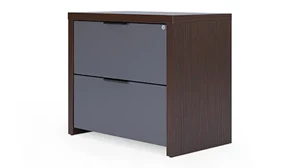 Lateral File Cabinets Office Source 2 Drawer Lateral File