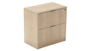 Lateral File Cabinets WFB Designs 2 Drawer Lateral File