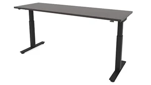 Standing Desks - Electronically Adjustable PBD Furniture 48in x 24in Dual Motor 3 Stage Adjustable Height Sit to Stand Desk