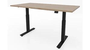Standing Desks - Electronically Adjustable PBD Furniture 48in x 30in Dual Motor 3 Stage Adjustable Height Sit to Stand Desk