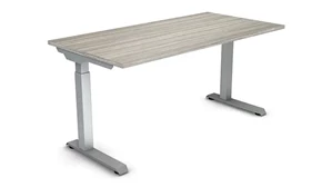 Standing Desks - Electronically Adjustable WFB Designs 60in x 30in Height Adjustable Desk with 2 Stage Motor
