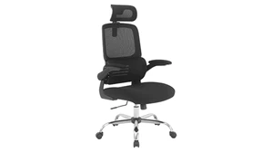 Ergonomic Task Chairs WFB Designs Loomis Color Choice Task Chair with Adjustable Headrest
