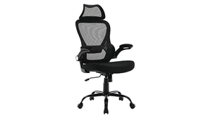 Ergonomic Task Chairs WFB Designs Loomis Task Chair with Fixed Headrest