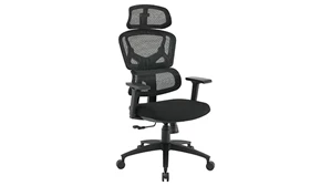 Ergonomic Task Chairs WFB Designs Mesh Back / Fabric Seat Task Chair w/ Headrest