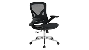 Ergonomic Task Chairs WFB Designs Mesh Seat and Back Task Chair with Flip Arms