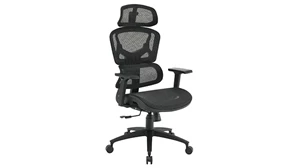 Ergonomic Task Chairs WFB Designs Mesh Back / Mesh Seat Task Chair with Headrest