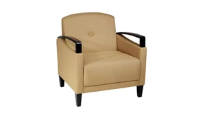Club & Lounge Chairs WFB Designs Chair with Espresso Wood Accents in Essential Fabrics