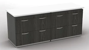 Combo Credenzas WFB Designs 72in x 24in Double Lateral File Credenza