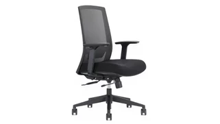 Ergonomic Task Chairs Beniia Sygma Task Chair Mesh Back with Adjustable Lumbar