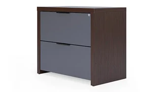 Lateral File Cabinets Office Source 2 Drawer Lateral File