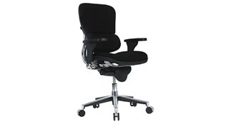 Ergonomic Task Chairs Eurotech Low Back Ergohuman Chair