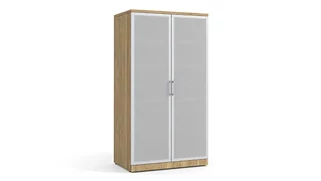 Tall Storage Cabinets WFB Designs 66in H Storage Cabinet with Silver Frame Glass Doors