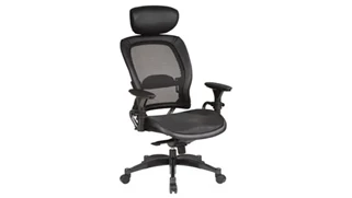 Ergonomic Task Chairs WFB Designs Professional Matrex Chair with Adjustable Headrest