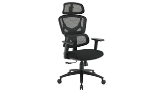 Ergonomic Task Chairs WFB Designs Mesh Back / Fabric Seat Task Chair w/ Headrest