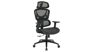 Ergonomic Task Chairs WFB Designs Mesh Back / Mesh Seat Task Chair with Headrest