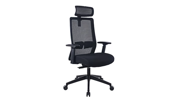 Task Chair with Headrest and Mesh Back