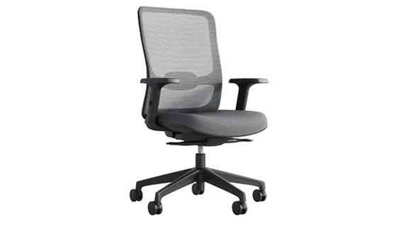 Task Chair with Lumbar Support and Mesh Back