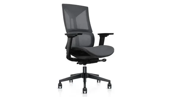 Task Chair with Lumbar Support and Mesh Back