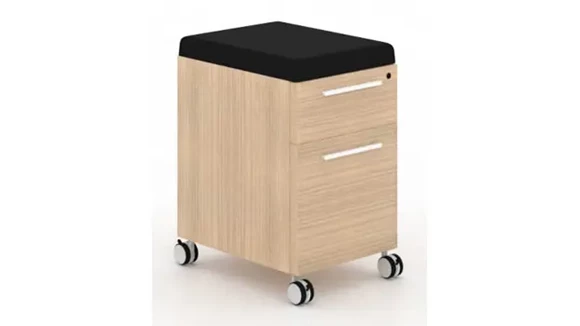 Ball-Bearing Mobile File Cabinet 15in W x 20in D x 24in H with Lockable