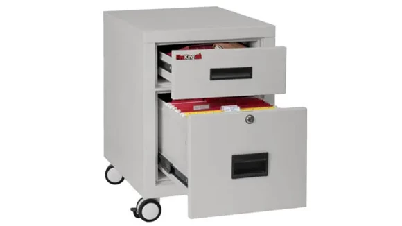 Fireproof File Cabinet 18in W x 22in D x 25in H with Fire Rated