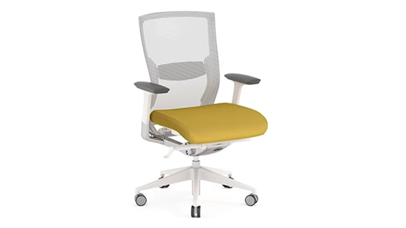 Task Chair with Mesh Back