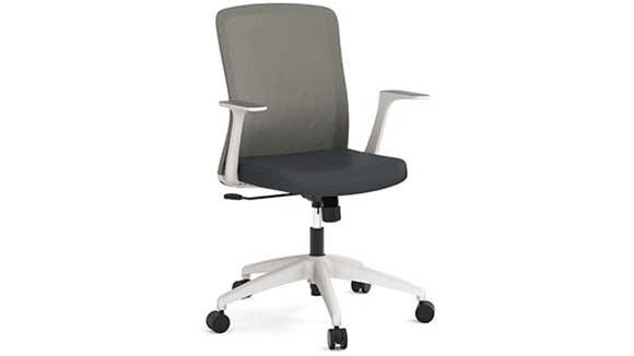 Task Chair with Mesh Back