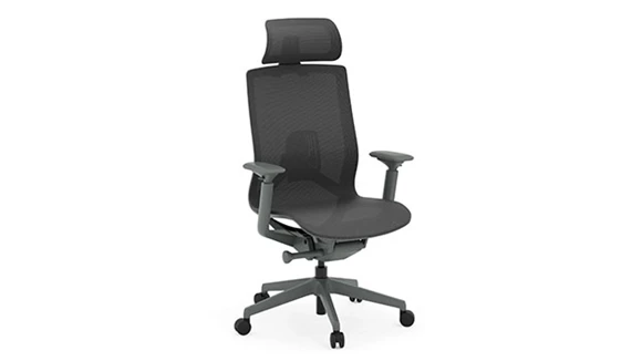 Mesh Mid-Back Task Chair with Adjustable Headrest