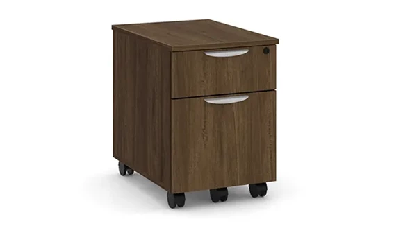 Mobile File Cabinet 16in W x 23in D x 23in H with Lockable and 2 Drawers