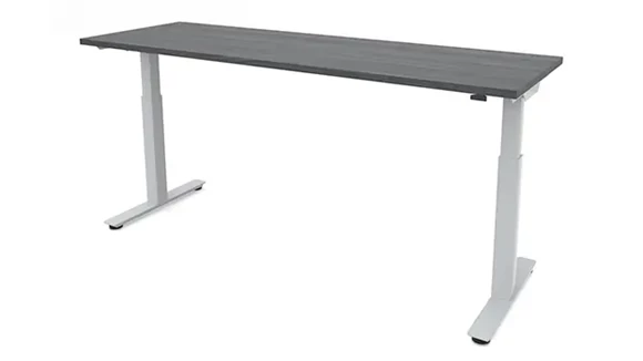 Sit-To-Stand Electric Standing Desk 48in W x 24in D