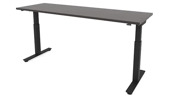 Sit-To-Stand Electric Standing Desk 48in W x 24in D