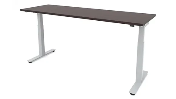 Sit-To-Stand Electric Standing Desk 60in W x 30in D