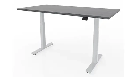 Sit-To-Stand Electric Standing Desk 48in W x 30in D