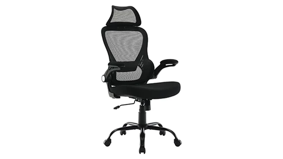Task Chair with Headrest and Lumbar Support