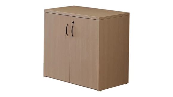 36in Tall Wood Door Storage Cabinet
