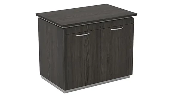 Storage Cabinet 36in W x 24in D x 30in H with Adjustable Shelf