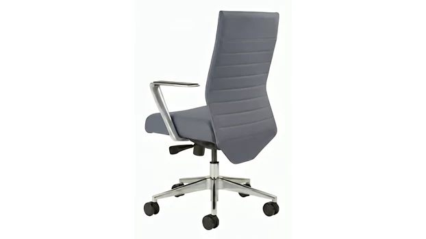 Back View - Slate Gray