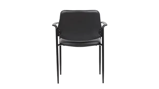 Black Vinyl Back View