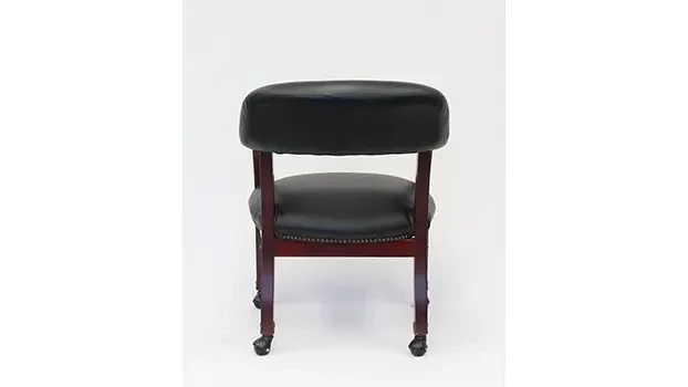 Black Vinyl Back View