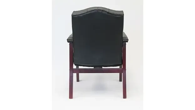 Black Vinyl Back View