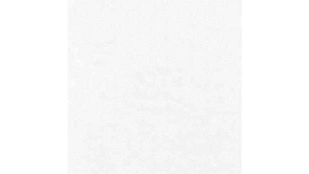 White Leather