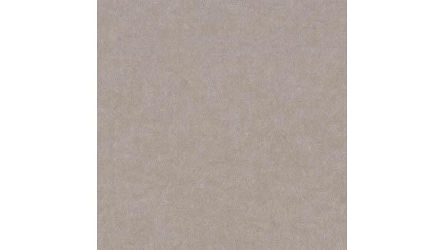 Warm Beige