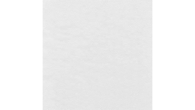 White Leather