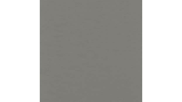 Light Gray Leather