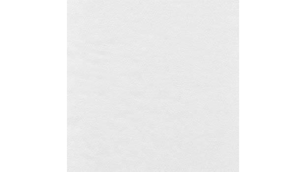 White Leather