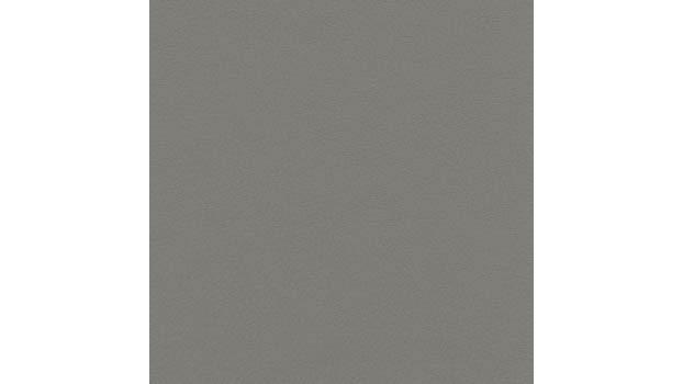 Light Gray Vinyl